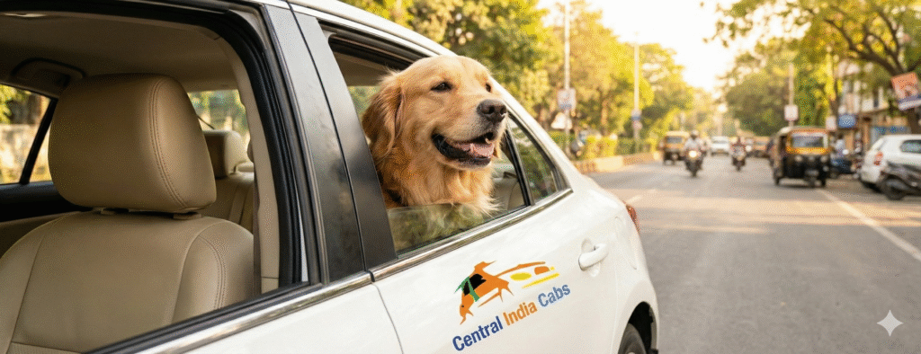 Pet Friendly Taxi Service in Nagpur
